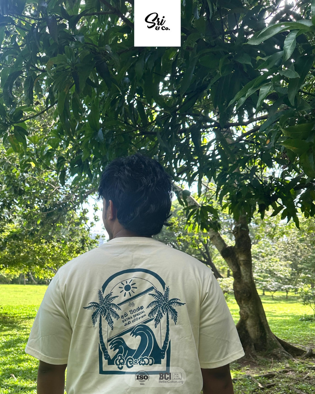 Arakku Drop - Ivory Yellow